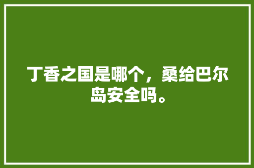 丁香之国是哪个，桑给巴尔岛安全吗。