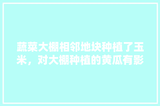 蔬菜大棚相邻地块种植了玉米，对大棚种植的黄瓜有影响吗，玉米水果黄瓜种植技术。