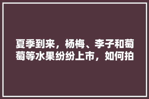 夏季到来，杨梅、李子和萄萄等水果纷纷上市，如何拍好这些水果，阳台高产水果种植视频教程。