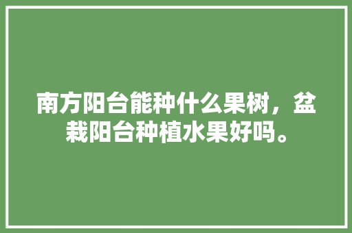 南方阳台能种什么果树，盆栽阳台种植水果好吗。