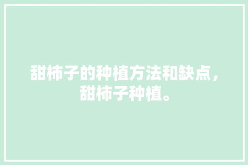 甜柿子的种植方法和缺点，甜柿子种植。