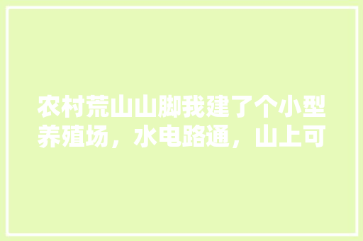 农村荒山山脚我建了个小型养殖场，水电路通，山上可以种点什么呢，农村水果种植。