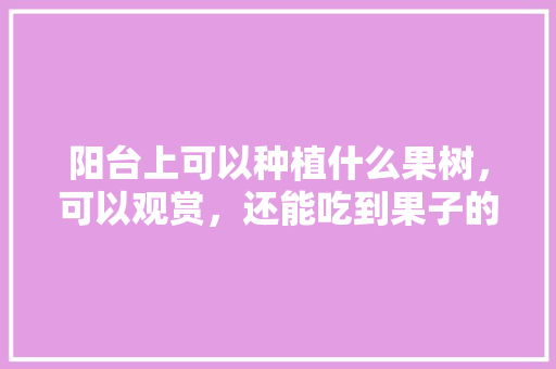 阳台上可以种植什么果树，可以观赏，还能吃到果子的，阳台种植什么水果种子最好。