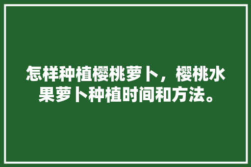 怎样种植樱桃萝卜，樱桃水果萝卜种植时间和方法。