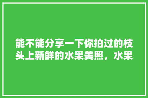 能不能分享一下你拍过的枝头上新鲜的水果美照，水果种植的图片大全。