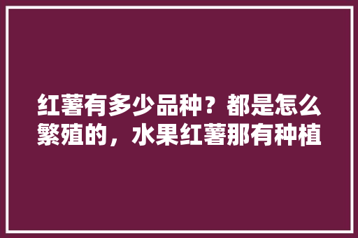 红薯有多少品种？都是怎么繁殖的，水果红薯那有种植的吗。