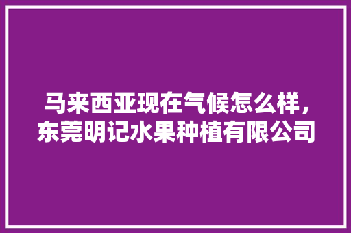 马来西亚现在气候怎么样，东莞明记水果种植有限公司。