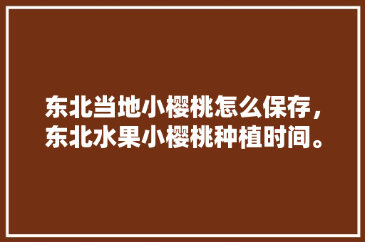 东北当地小樱桃怎么保存，东北水果小樱桃种植时间。