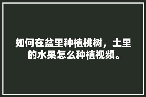 如何在盆里种植桃树，土里的水果怎么种植视频。