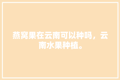 燕窝果在云南可以种吗，云南水果种植。