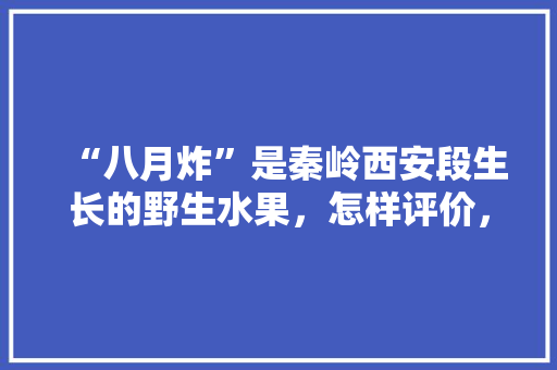 “八月炸”是秦岭西安段生长的野生水果，怎样评价，秦岭种植什么水果多种好吃。 畜牧养殖