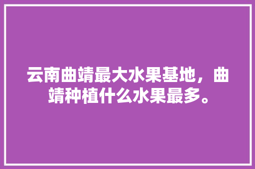 云南曲靖最大水果基地，曲靖种植什么水果最多。 土壤施肥