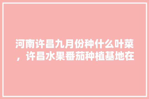 河南许昌九月份种什么叶菜，许昌水果番茄种植基地在哪里。 水果种植