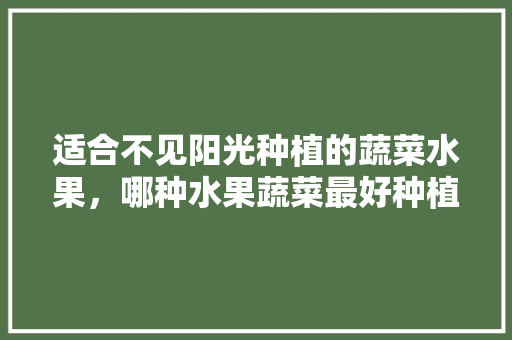 适合不见阳光种植的蔬菜水果，哪种水果蔬菜最好种植呢。 畜牧养殖