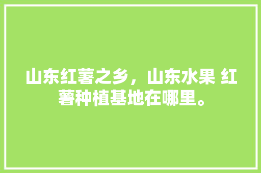 山东红薯之乡，山东水果 红薯种植基地在哪里。 畜牧养殖