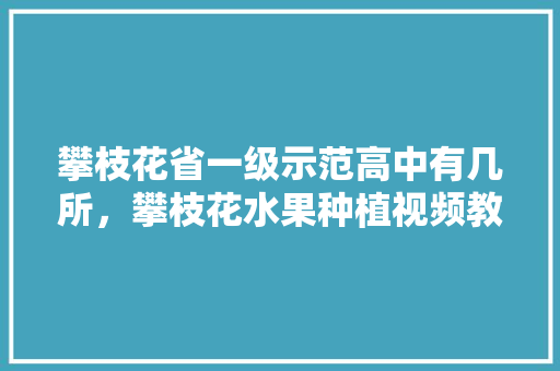 攀枝花省一级示范高中有几所，攀枝花水果种植视频教程全集。 畜牧养殖