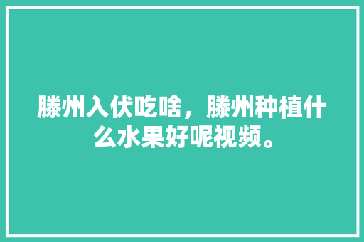 滕州入伏吃啥，滕州种植什么水果好呢视频。 畜牧养殖