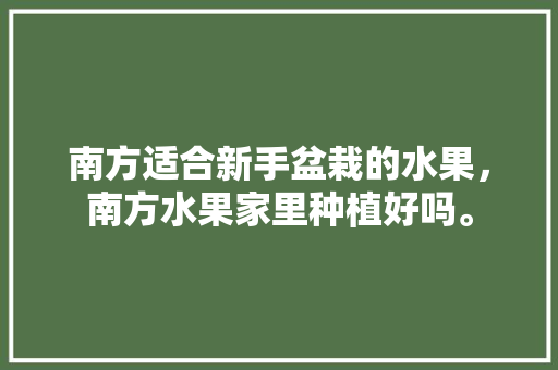 南方适合新手盆栽的水果，南方水果家里种植好吗。 土壤施肥