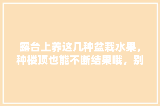 露台上养这几种盆栽水果，种楼顶也能不断结果哦，别墅楼顶种菜设计图。 畜牧养殖