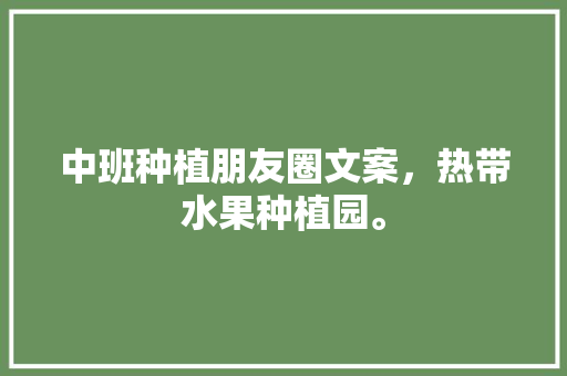 中班种植朋友圈文案，热带水果种植园。 土壤施肥