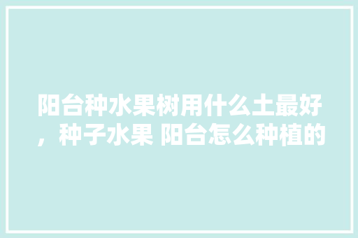 阳台种水果树用什么土最好，种子水果 阳台怎么种植的。 水果种植