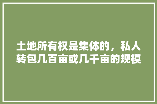 土地所有权是集体的，私人转包几百亩或几千亩的规模经营，它的性质是否属于民营经济呢，安岳水果玉米种植基地。 水果种植