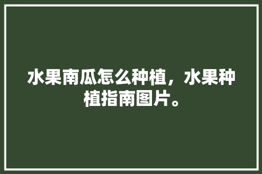 水果南瓜怎么种植，水果种植指南图片。 土壤施肥