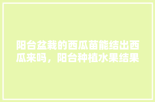 阳台盆栽的西瓜苗能结出西瓜来吗，阳台种植水果结果图片。 家禽养殖