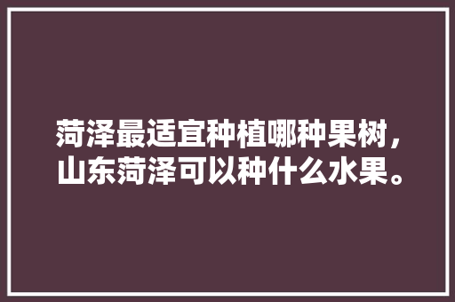 菏泽最适宜种植哪种果树，山东菏泽可以种什么水果。 土壤施肥