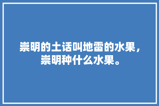 崇明的土话叫地雷的水果，崇明种什么水果。 水果种植