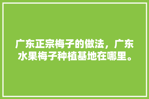 广东正宗梅子的做法，广东水果梅子种植基地在哪里。 蔬菜种植