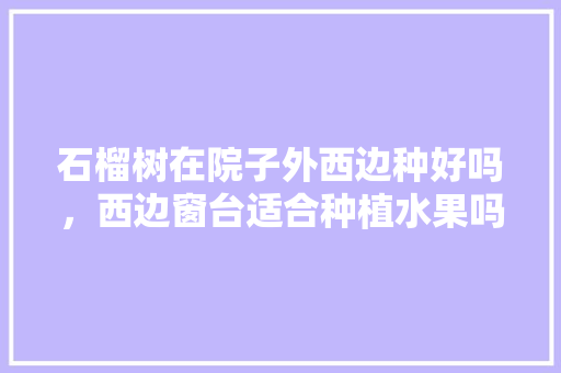 石榴树在院子外西边种好吗，西边窗台适合种植水果吗视频。 土壤施肥