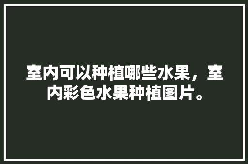 室内可以种植哪些水果，室内彩色水果种植图片。 蔬菜种植