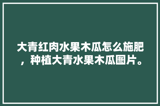 大青红肉水果木瓜怎么施肥，种植大青水果木瓜图片。 蔬菜种植