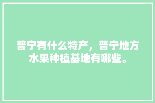 普宁有什么特产，普宁地方水果种植基地有哪些。 蔬菜种植