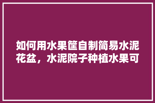 如何用水果筐自制简易水泥花盆，水泥院子种植水果可以吗。 畜牧养殖