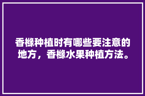 香橼种植时有哪些要注意的地方，香橼水果种植方法。 土壤施肥