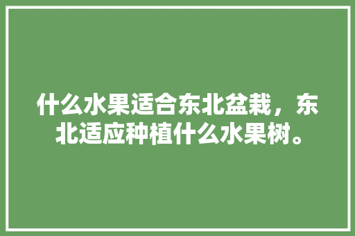 什么水果适合东北盆栽，东北适应种植什么水果树。 土壤施肥