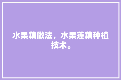 水果藕做法，水果莲藕种植技术。 土壤施肥