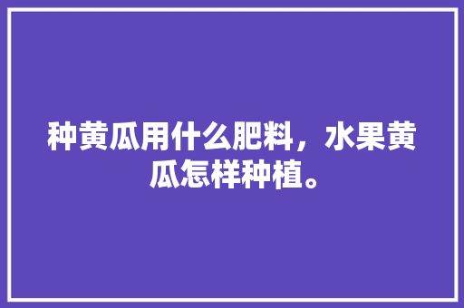 种黄瓜用什么肥料，水果黄瓜怎样种植。 土壤施肥