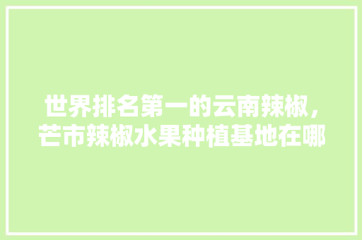 世界排名第一的云南辣椒，芒市辣椒水果种植基地在哪里。 蔬菜种植