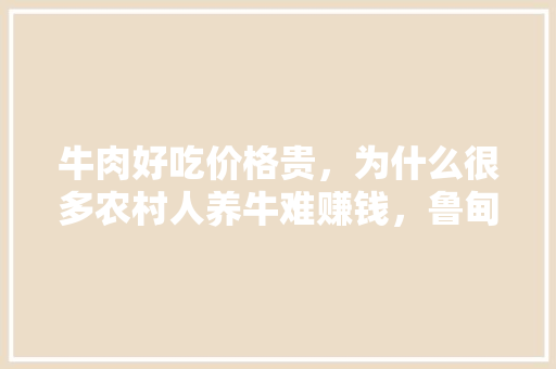 牛肉好吃价格贵，为什么很多农村人养牛难赚钱，鲁甸水果种植基地。 土壤施肥