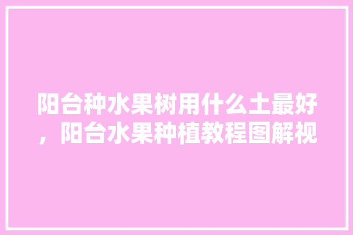 阳台种水果树用什么土最好，阳台水果种植教程图解视频。 阳台种水果树用什么土最好，阳台水果种植教程图解视频。 畜牧养殖