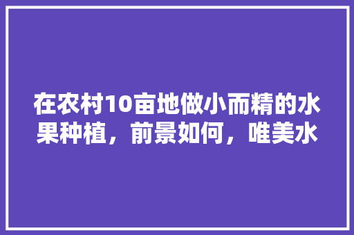 在农村10亩地做小而精的水果种植，前景如何，唯美水果种植地图片大全。 家禽养殖