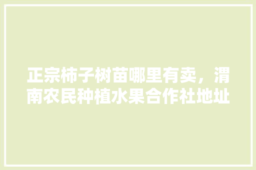 正宗柿子树苗哪里有卖，渭南农民种植水果合作社地址。 家禽养殖