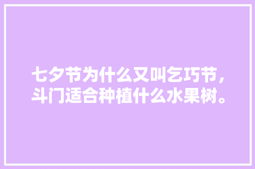 七夕节为什么又叫乞巧节，斗门适合种植什么水果树。 家禽养殖