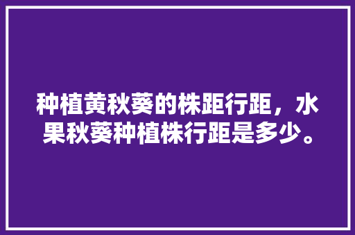 种植黄秋葵的株距行距，水果秋葵种植株行距是多少。 蔬菜种植