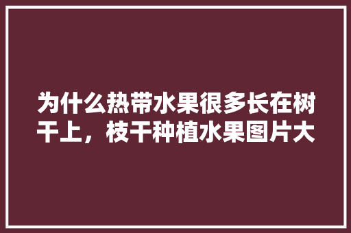 为什么热带水果很多长在树干上，枝干种植水果图片大全大图。 水果种植