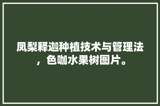 凤梨释迦种植技术与管理法，色咖水果树图片。 家禽养殖