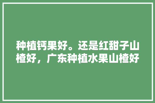 种植钙果好。还是红甜子山楂好，广东种植水果山楂好吗视频。 畜牧养殖